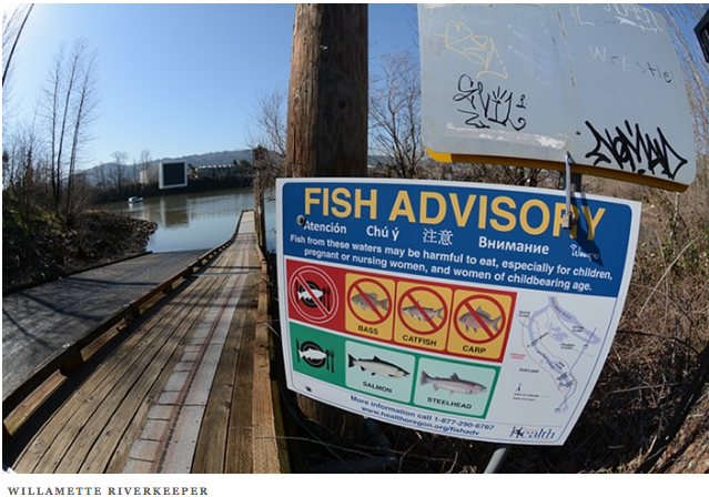 Monsanto Tried to Kill a Lawsuit Over Portland River Contamination. It Failed.